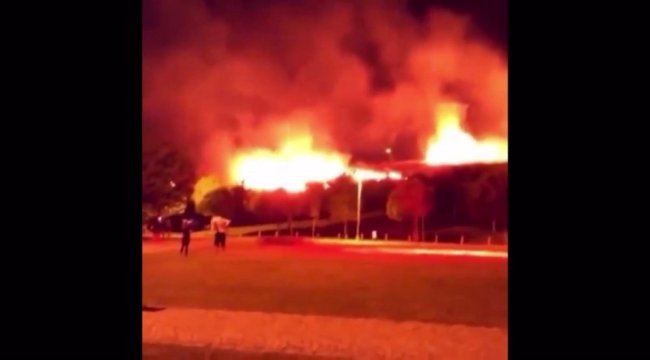 Bornova'da çıkan ot yangını