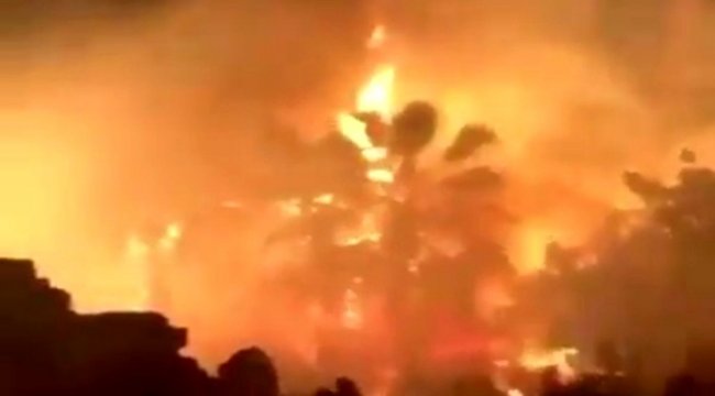 İzmir'de ot yangını paniğe sebep oldu