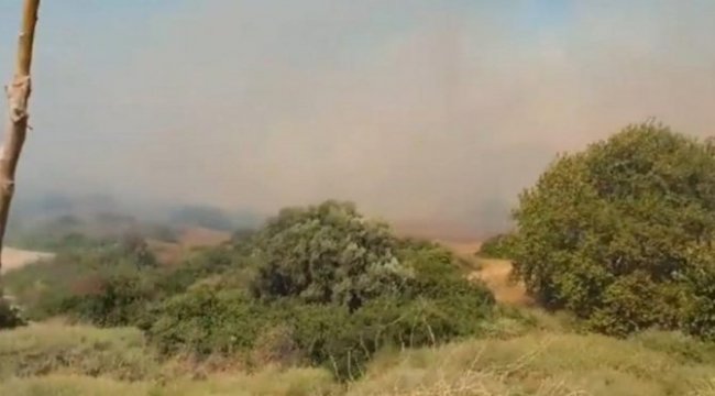 İzmir'de iki günde dört yangın! Orman Genel Müdürlüğü uyardı