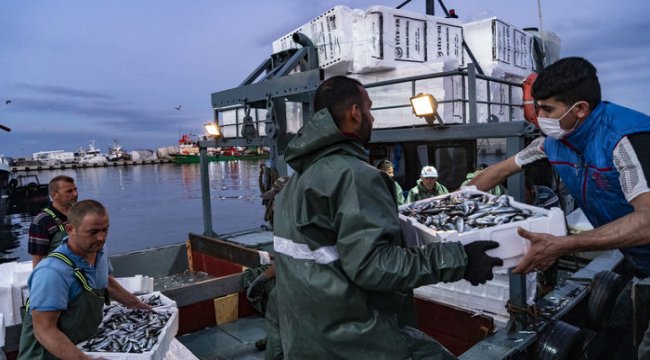 Av yasağı kalktı balıkçılar ağlarını attı: Yeni sezondan umutlular