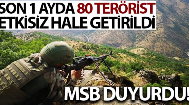 MSB: "Son 1 ayda toplam 31 operasyon icra edilmiş, 80 terörist etkisiz hale getirilmiştir"