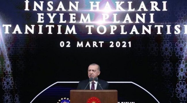 Erdoğan'ın açıkladığı "İnsan Hakları Eylem Planı" için hukukçular ne diyor?
