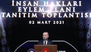 Erdoğan'ın açıkladığı "İnsan Hakları Eylem Planı" için hukukçular ne diyor?