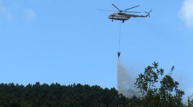 Aydos Ormanı'nda yangın: Kontrol altına alındı