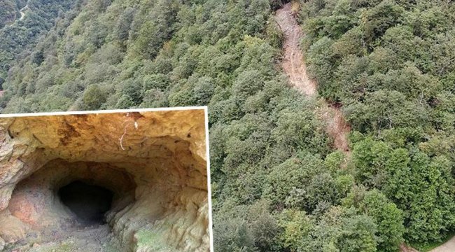 Trabzon'da define aramak için ormanda yol açtılar