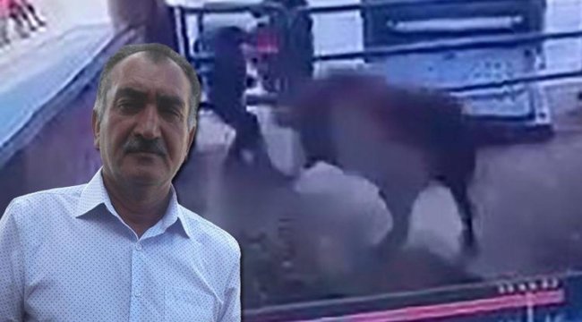 Amasya'da boğa saldırısı: Hayatını kaybetti