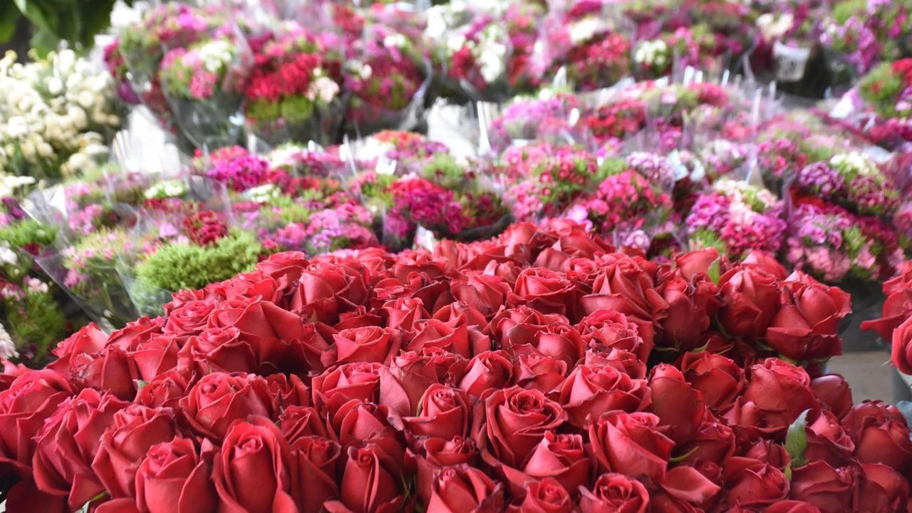 İzmir'de sevgililer günü bereketi!