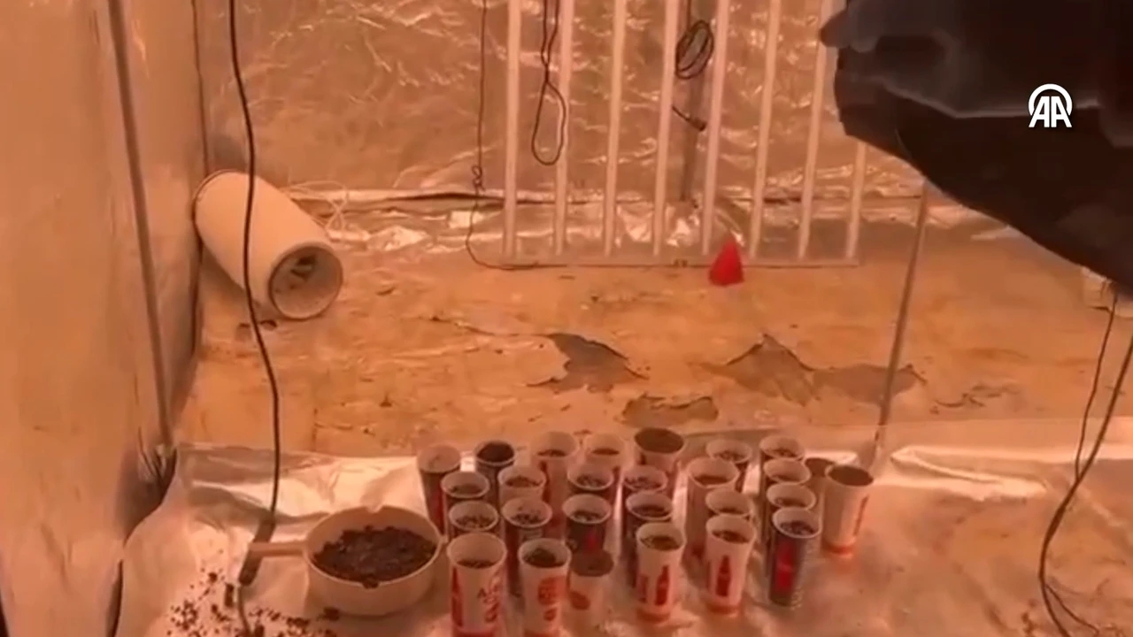 İzmir'de zehir evine baskın!