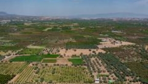 Kemalpaşa'da imar krizi: Planlar mahkeme yolunda!