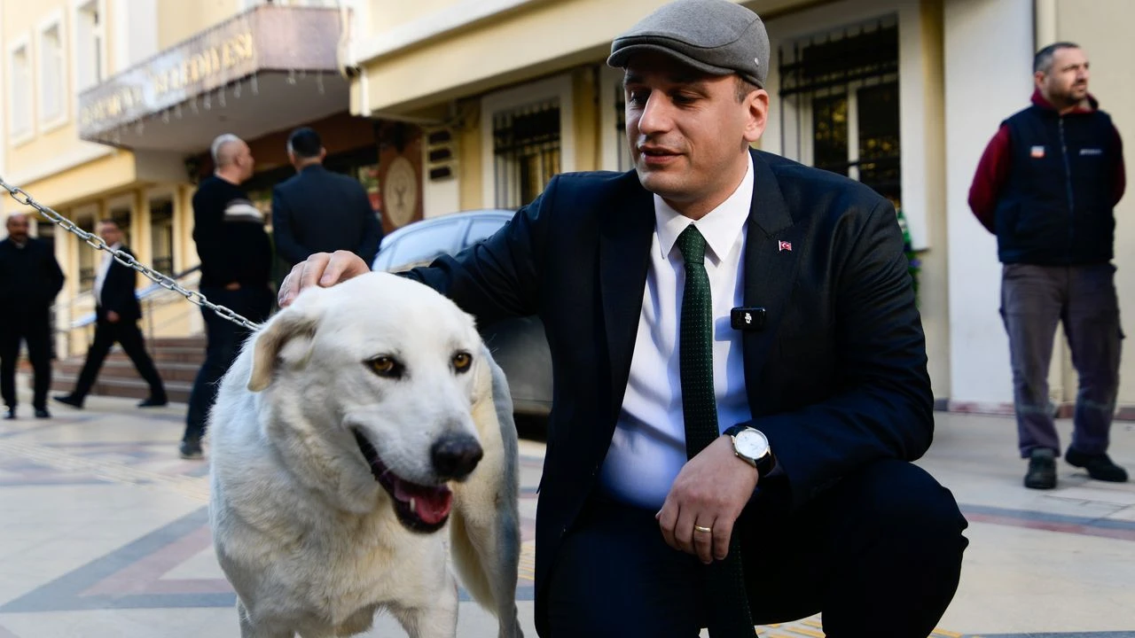 Başkan Eşki'den Hayvan Hakları savunucularına destek