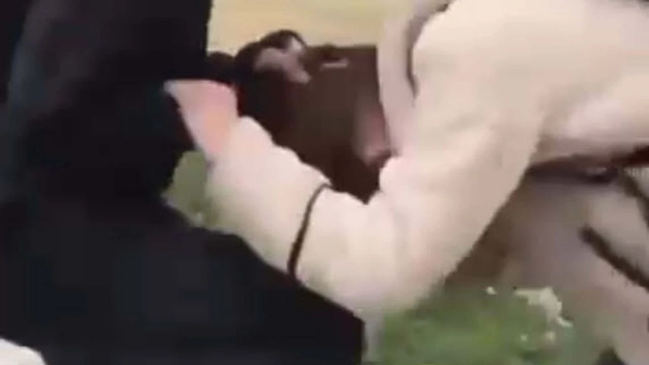 Arkadaşını darbetmişti... Adli kontrolle serbest!