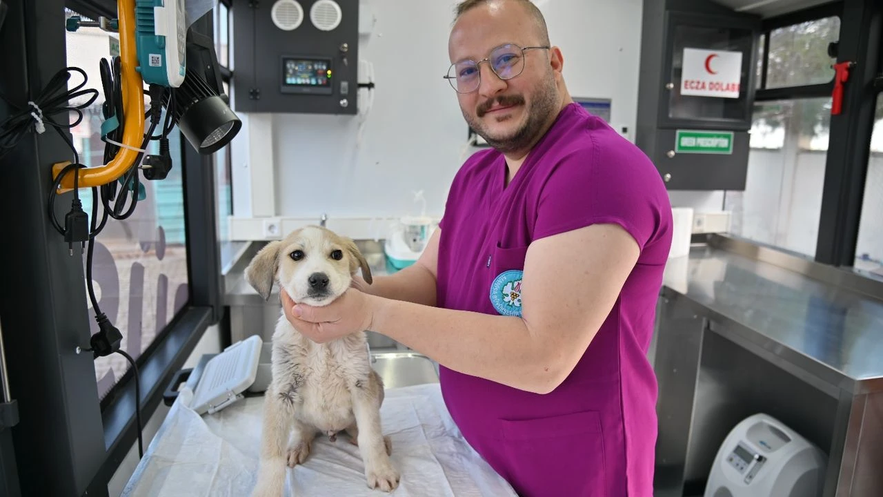 Manisa'da Vetbüs hizmette!