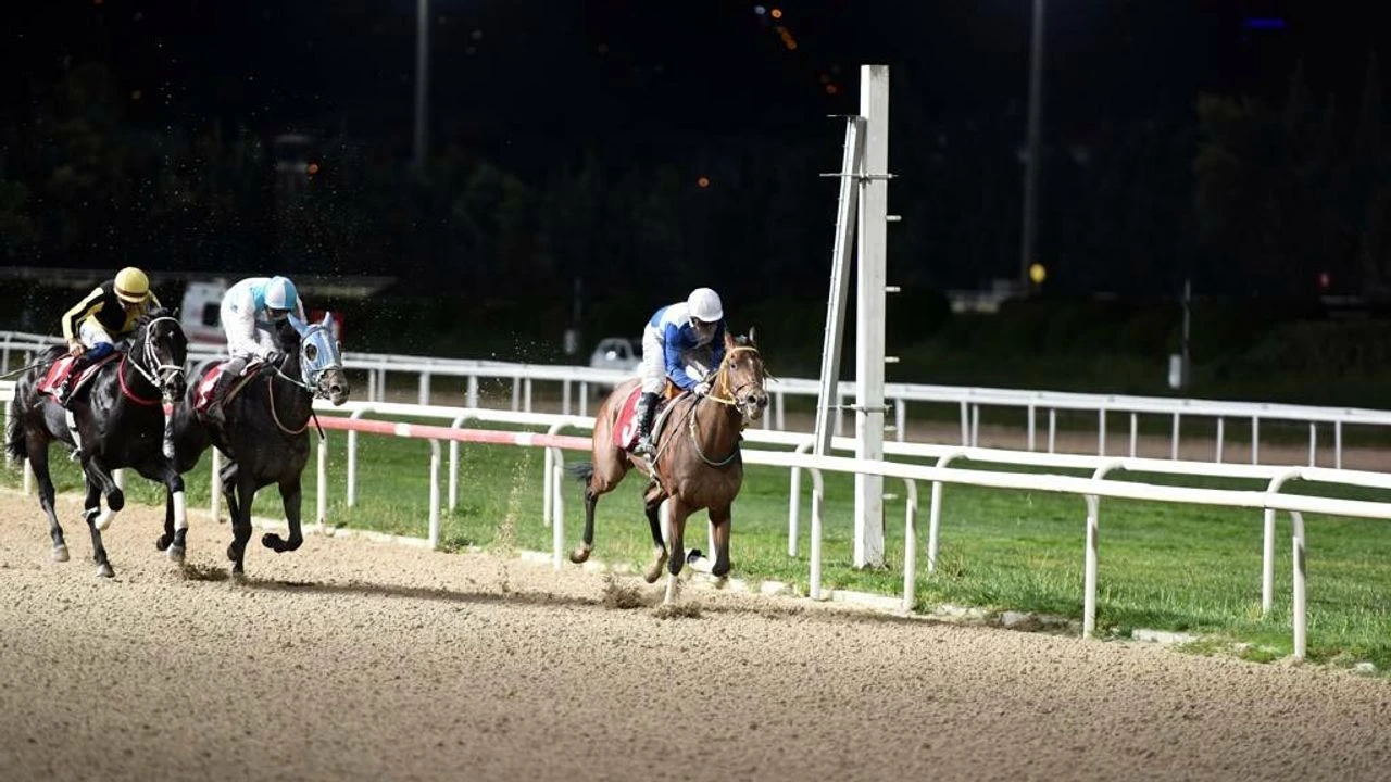 TSYD İzmir Şubesi Koşusu'nda 26'ncı heyecan