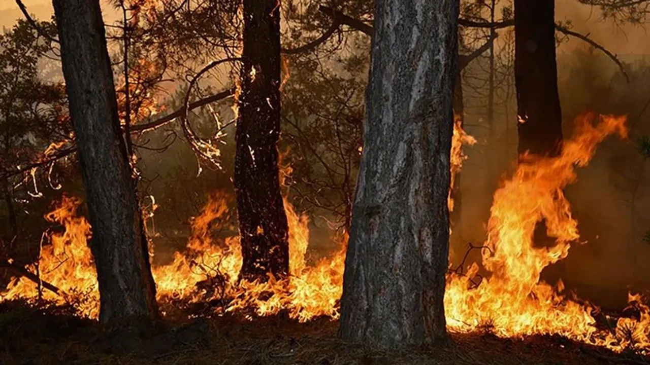 2 günde çıkan 111 yangından 106'sı kontrol altına alındı
