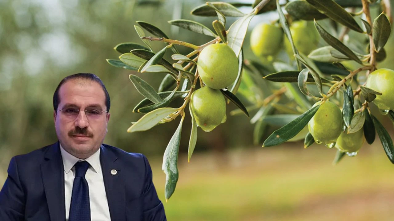 AK Partili Kırkpınar tartışmalı yasa için konuştu: Biz de yeşilciyiz, ormancıyız!