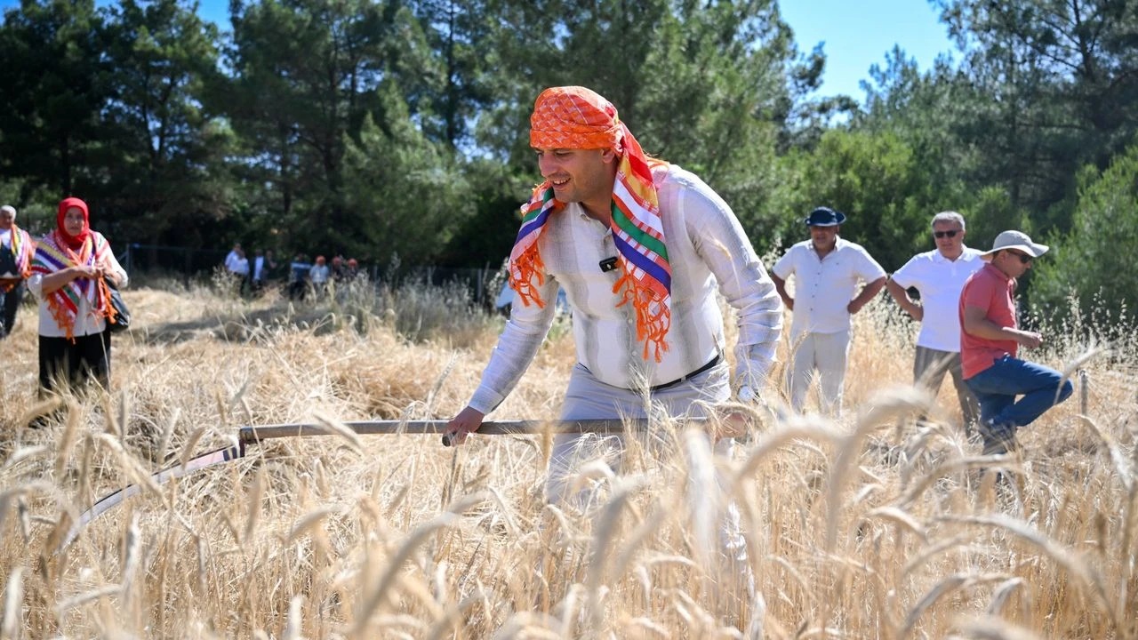 Bornova'da ilk hasat Başkan Eşki'den