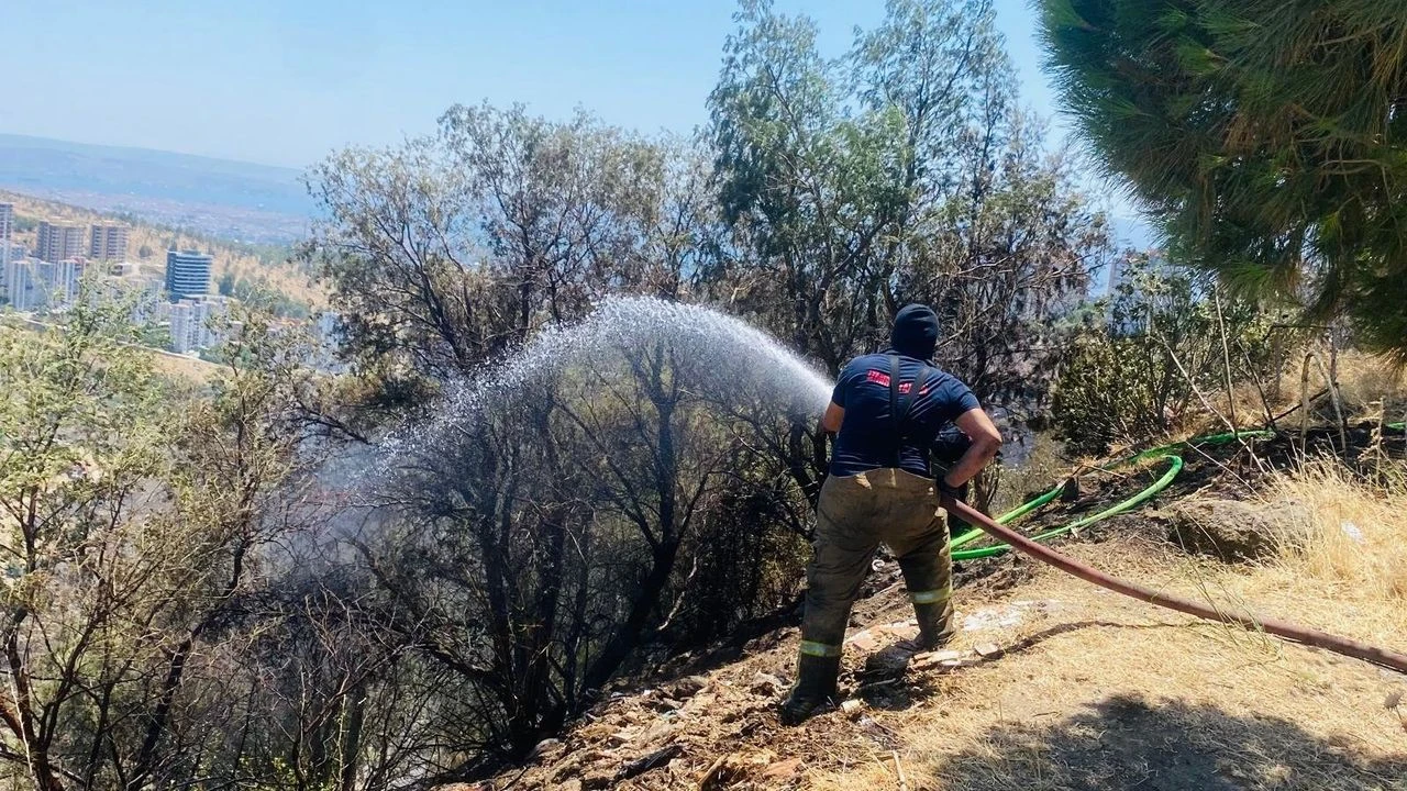Büyükşehir'den yangın raporu: 2 günde 227 müdahale!