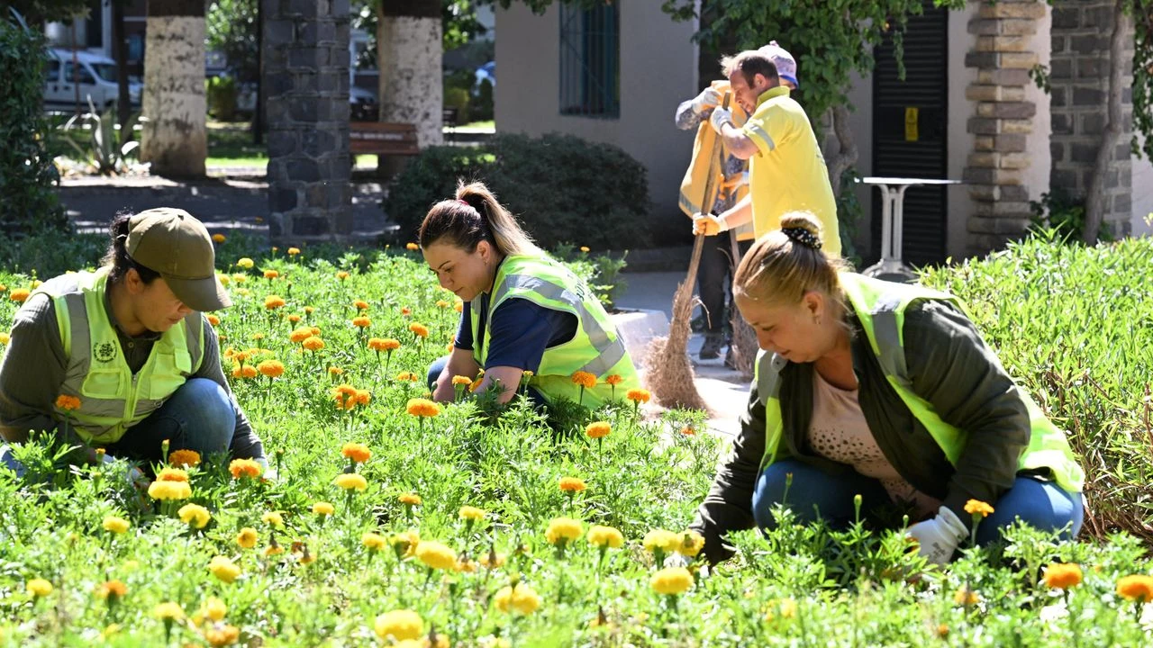 Aydın Büyükşehir'e vatandaşlardan tam not