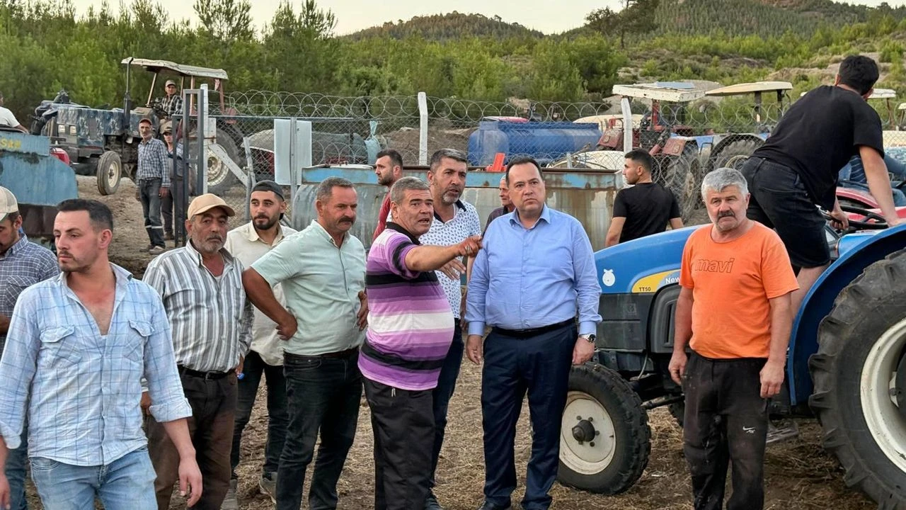 Başkan Dutlulu yangın bölgesinde incelemelerde bulundu