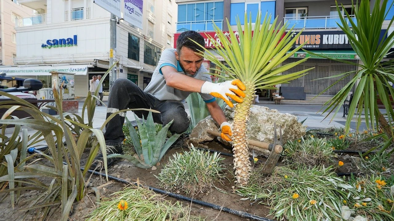 Gaziemir'de kuraklığa karşı yeşil dönüşüm