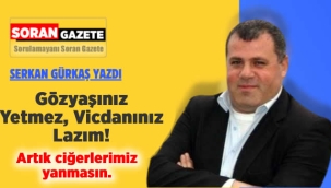 Gözyaşınız Yetmez, Vicdanınız Lazım!