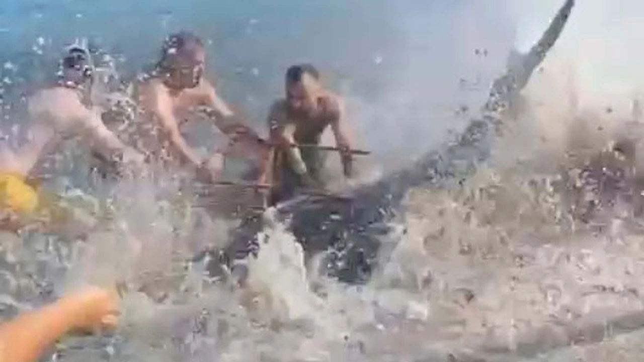 İzmir'de ilginç olay... Orkinosu sandalyeyle karaya çekmeye çalıştılar!