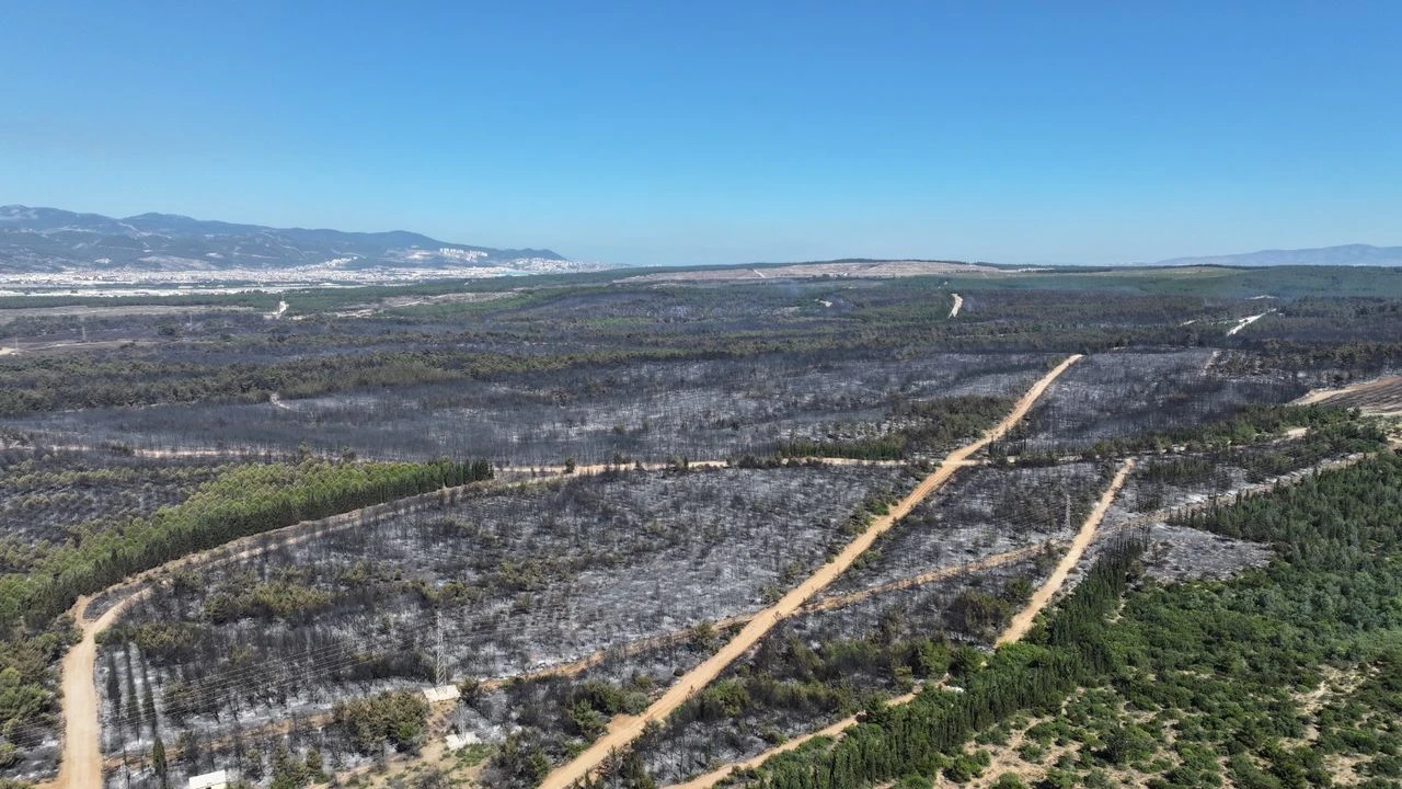 İzmir'in acı raporu: 26 bin 260 hektar kül oldu