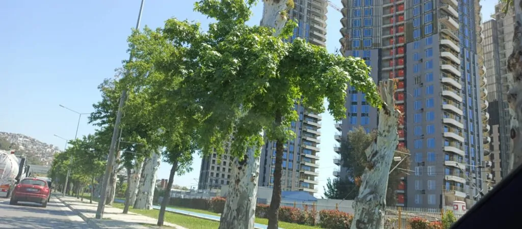 İzmir'in Kalbindeki Dev Proje: Trafik Sorununa Yeni Bir Yük mü?