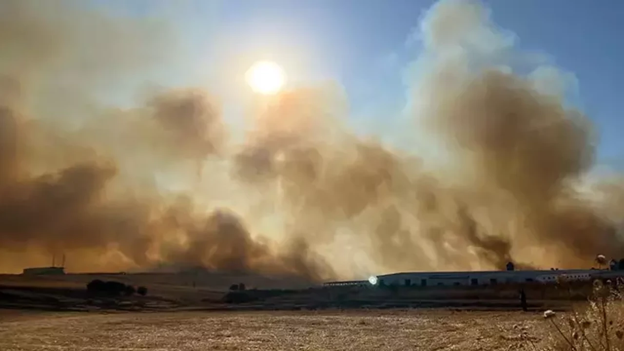 Manisa'daki yangın kontrol altında!