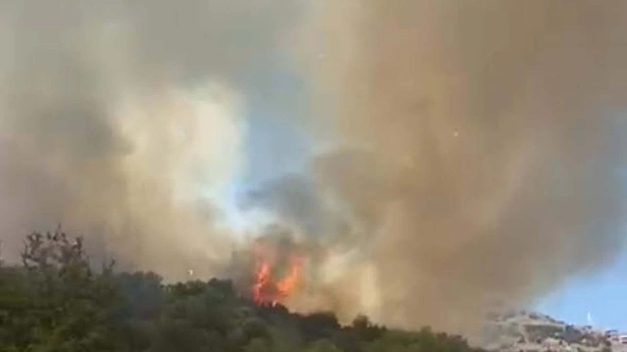 Muğla'da tarım arazisinde yangın