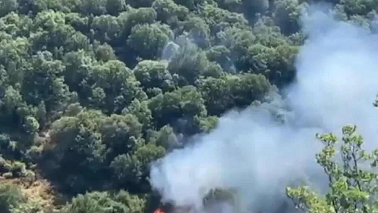 Nazilli'de orman yangını 2 saatte kontrol altına alındı