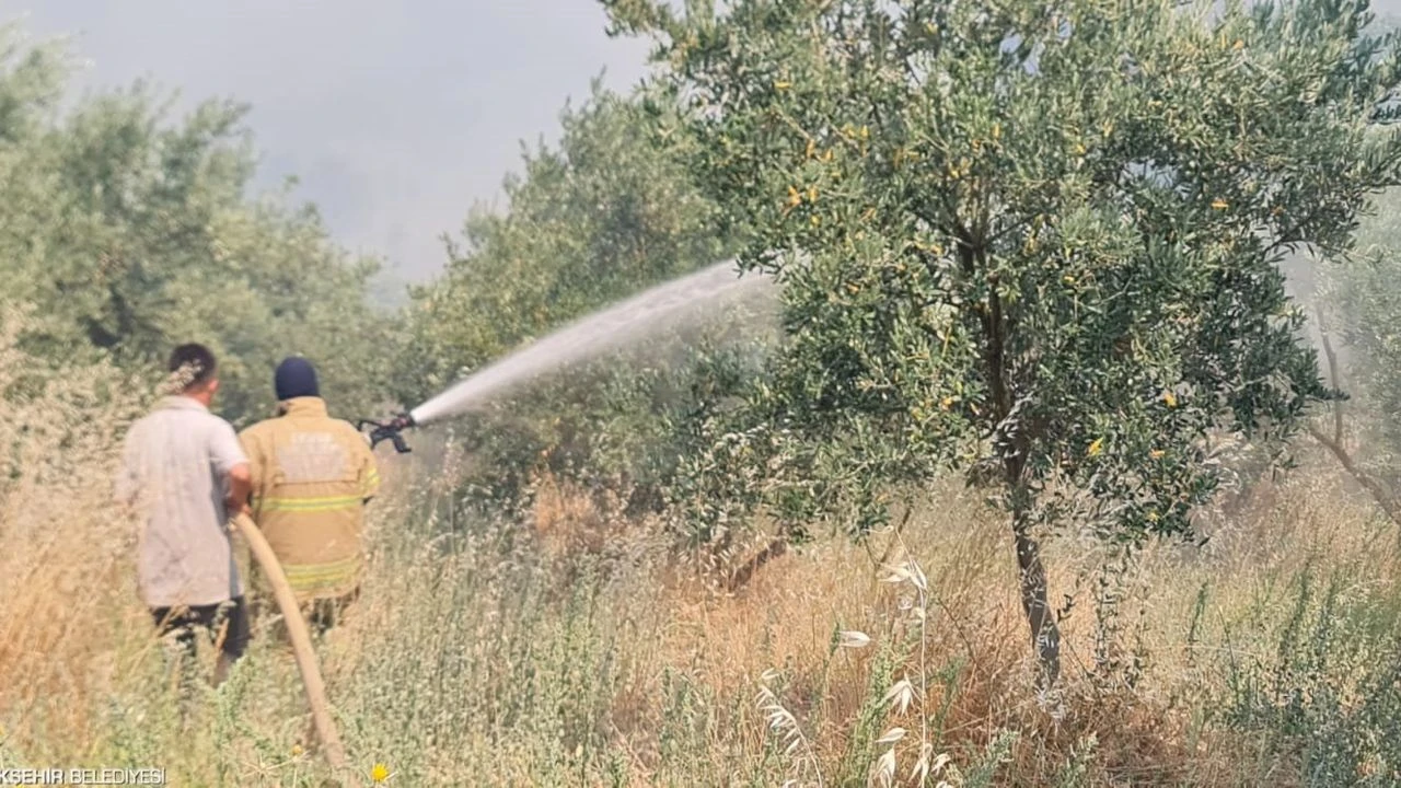Ödemiş'te yangınla mücadele sürüyor