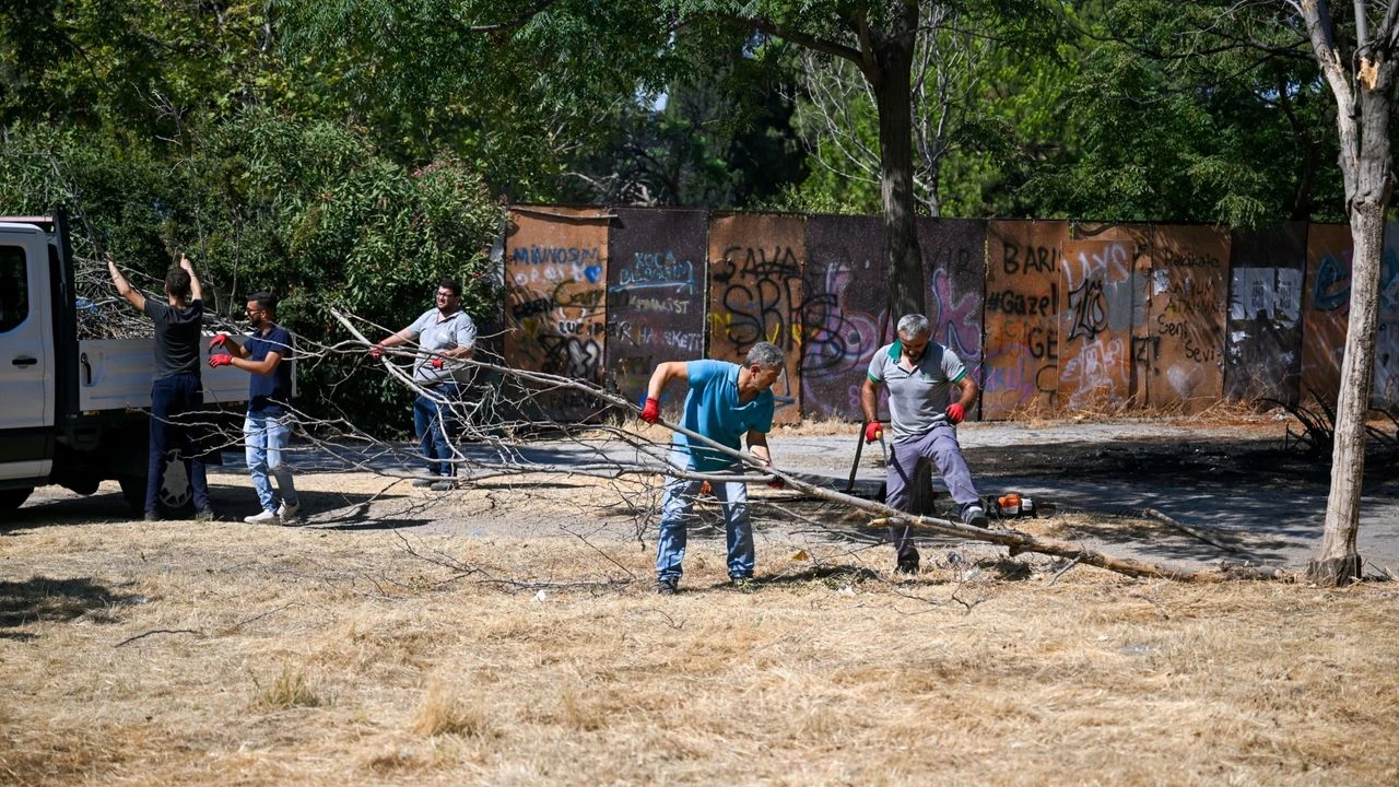 Paterson Köşkü çevresi temizlendi!