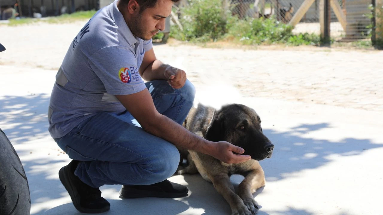 Selçuk'ta "Satın Alma Sahiplen" çağrısı!
