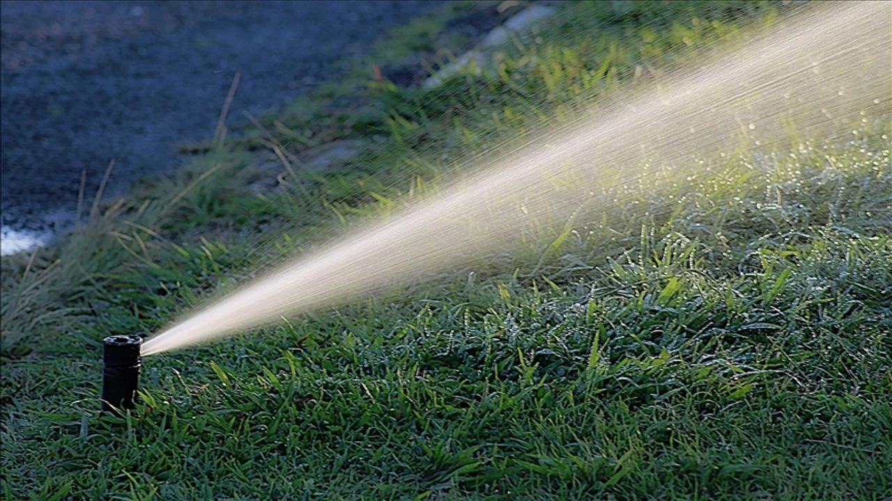 Su krizi parkları vurdu: Belediyeden 'asgari sulama' kararı!