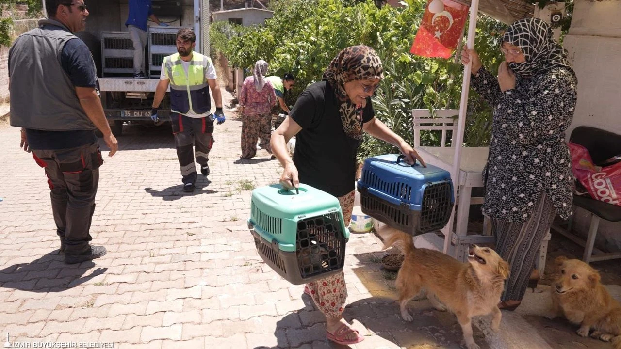 Yangından kurtarılan can dostlarına kavuştu!