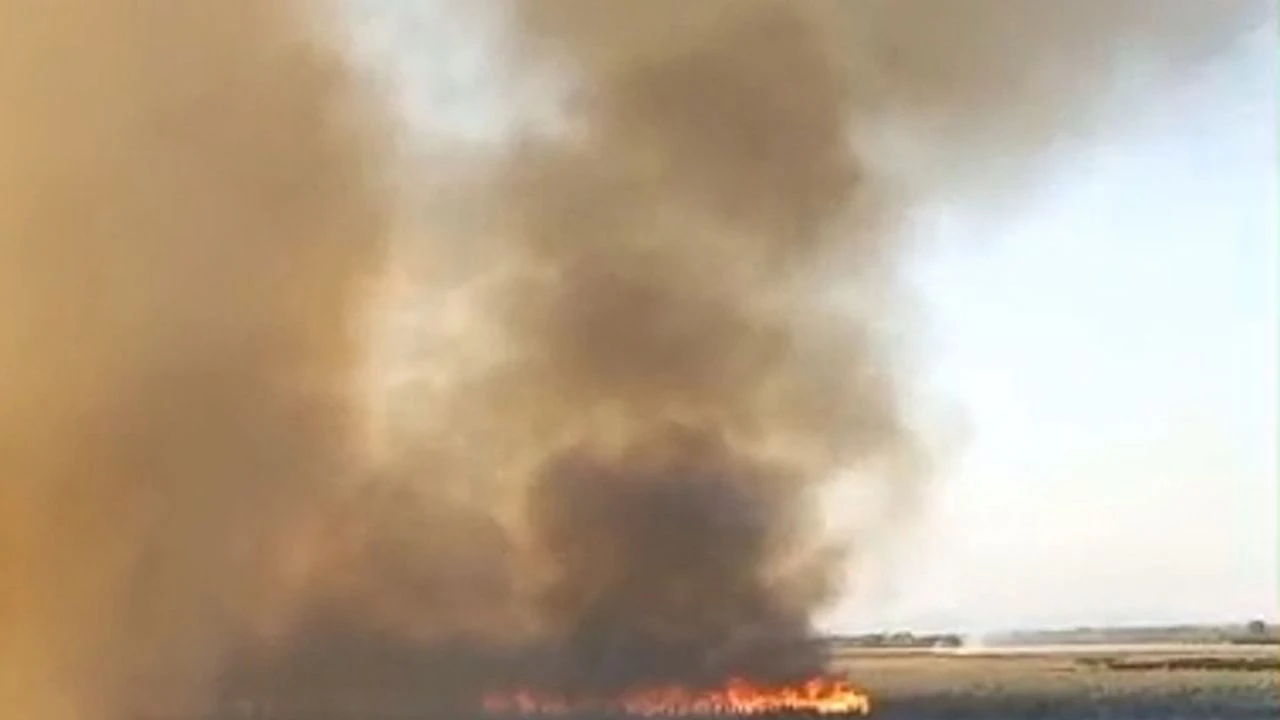 Bataklık alev alev!