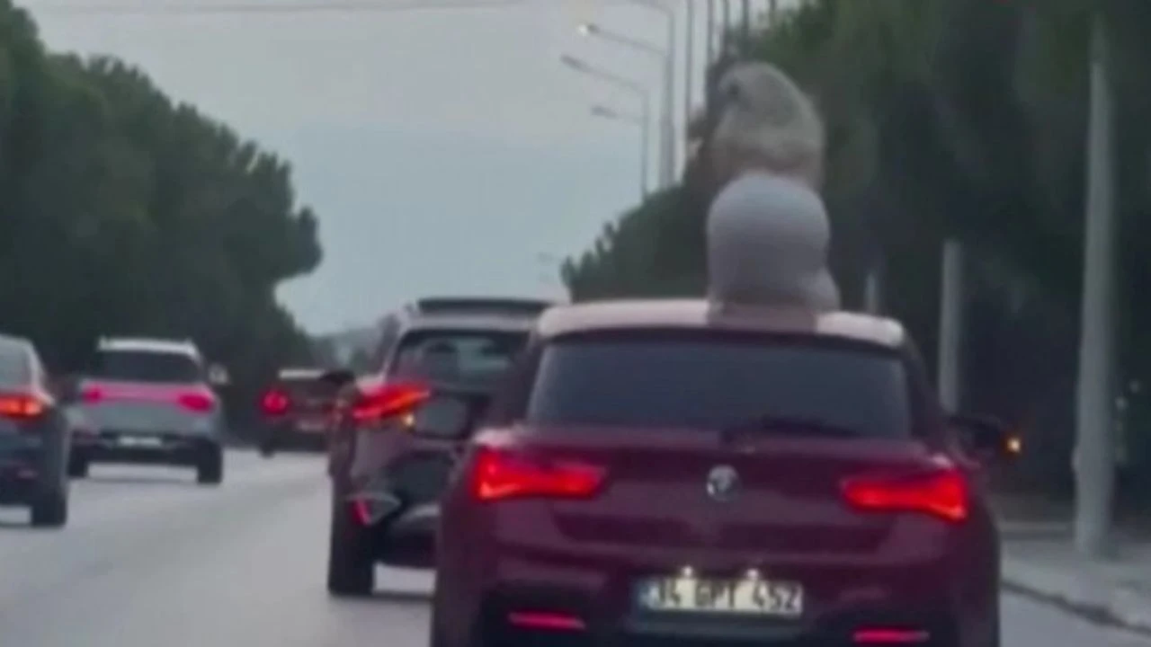 Dans etti, cezayı yedi!