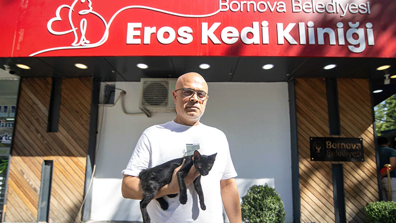 Eros Kedi Kliniği hizmete girdi