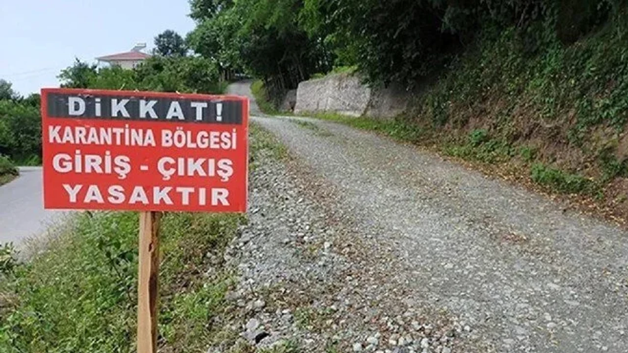 Kapatılan hayvan pazarları yeniden açıldı