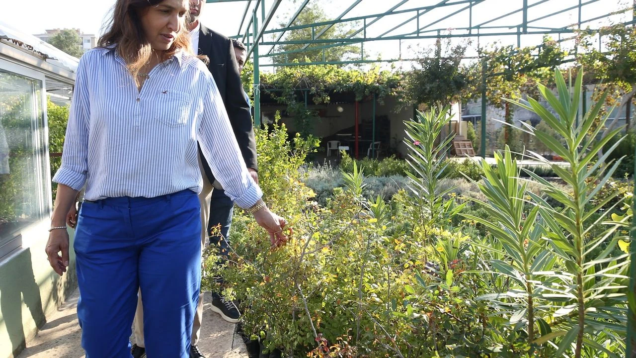 Karşıyaka'dan inşaatlara yeşil şart: Her daireye iki fidan!