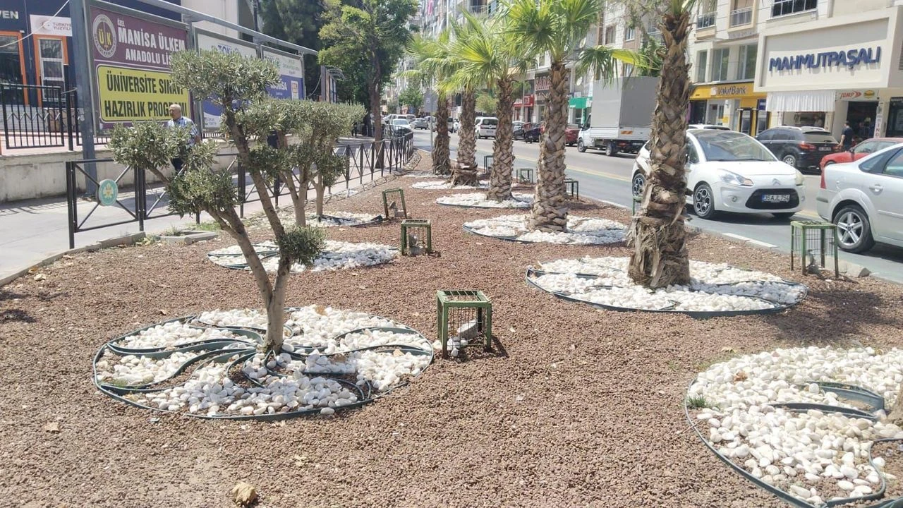 Kurakçıl peyzaj ile doğaya saygılı şehircilik