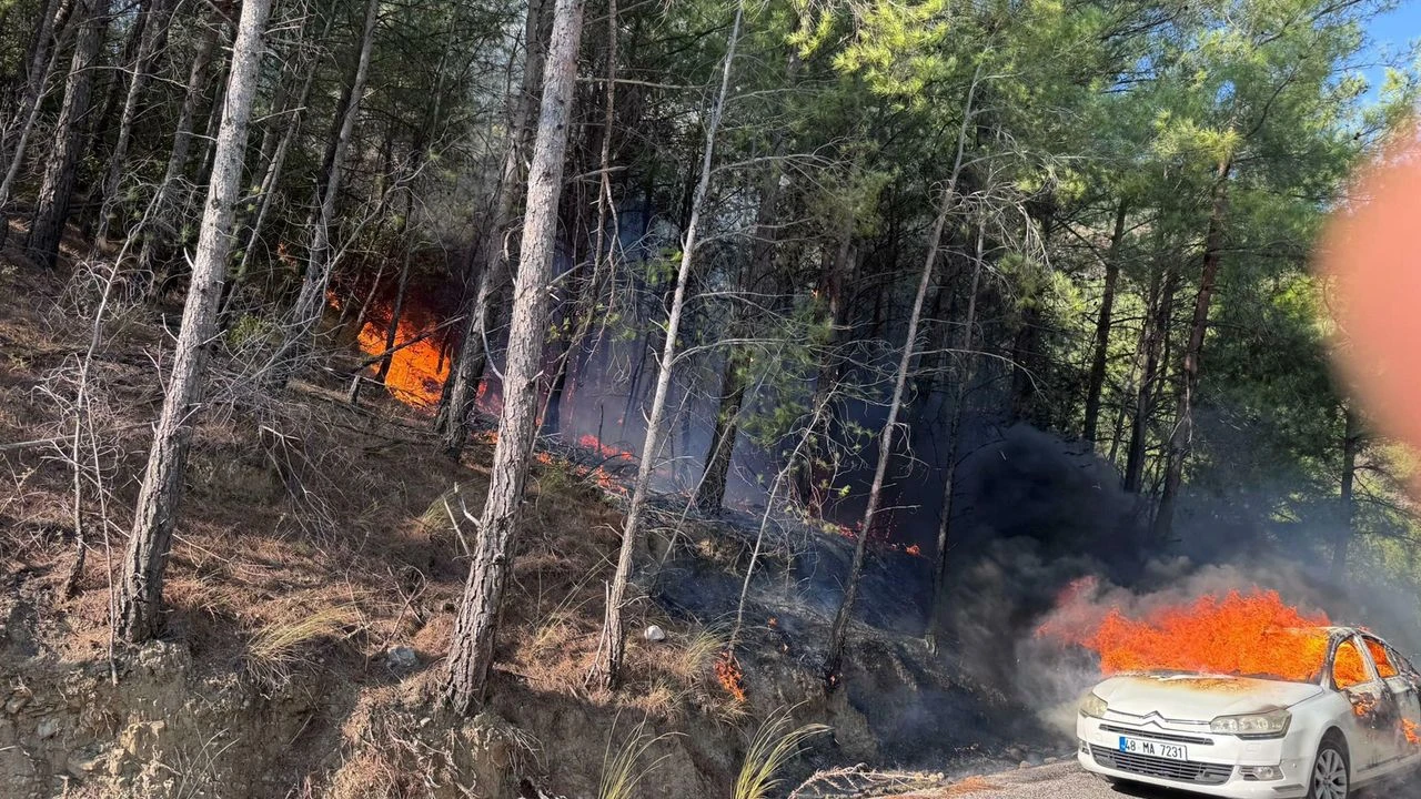 Otomobilden ormana sıçradı... Muğla'da yangın paniği!