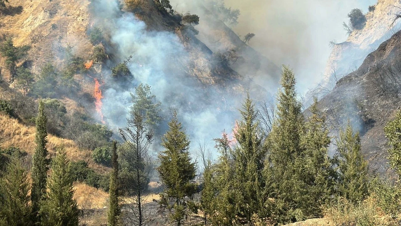 Aydın'da yangın paniği!