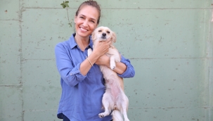 Bakioğlu Can Dostlarımız Yaşam Merkezi ve Bakımevi açılıyor!