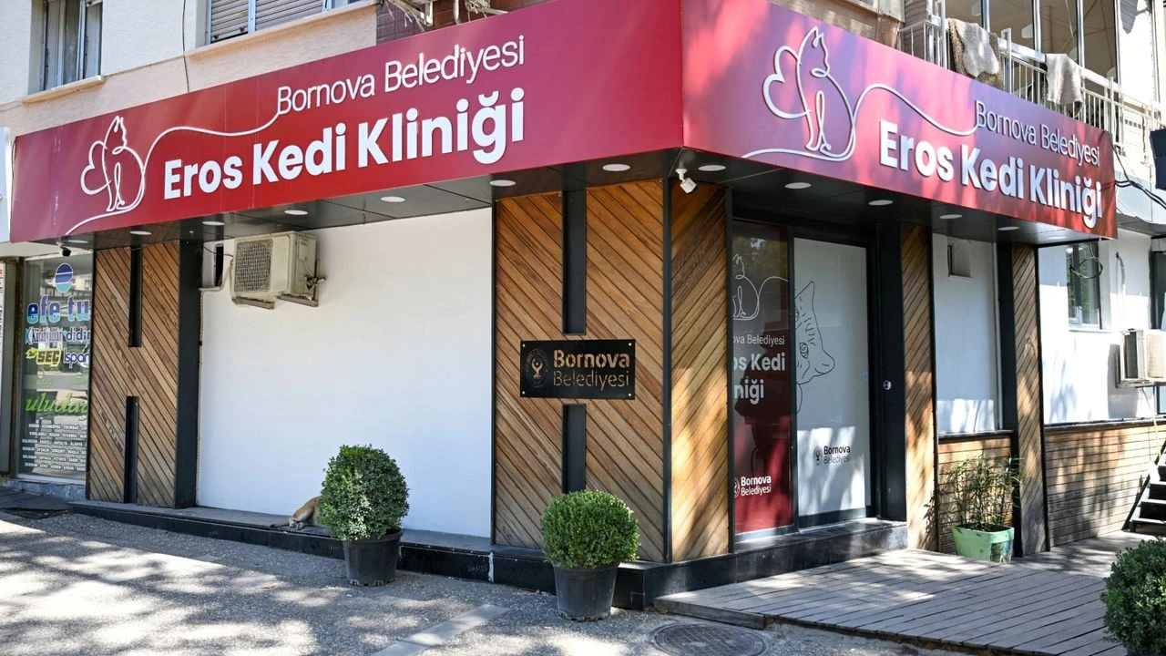 Bornova'da patili dostlara yeni bir yuva