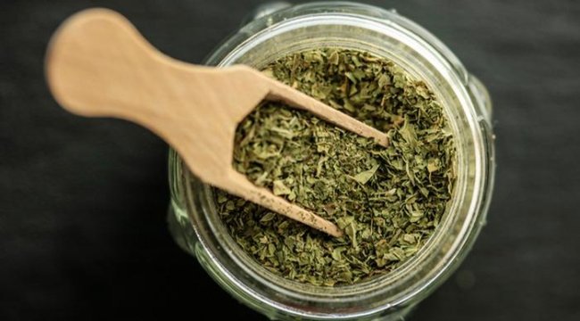 Anadolu'dan dünyaya yayılan şifa: Kekik kanserle mücadelede umut veriyor!