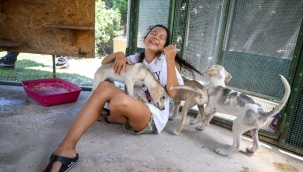 Karşıyaka'da can dostlar için 25 ton mama toplandı