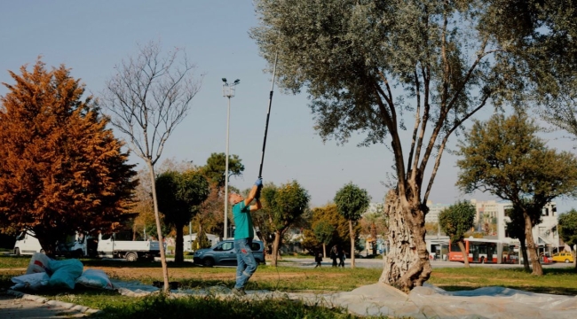 BALÇOVA BELEDİYESİ'NDEN KENTİN BEREKETİNE SAHİP ÇIKAN ÖRNEK ÇALIŞMA