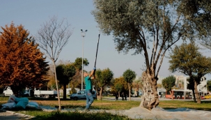 BALÇOVA BELEDİYESİ'NDEN KENTİN BEREKETİNE SAHİP ÇIKAN ÖRNEK ÇALIŞMA